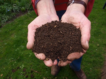 FERTILIZER